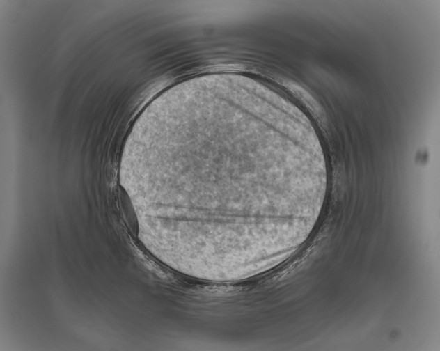 X0000096641193200803041119