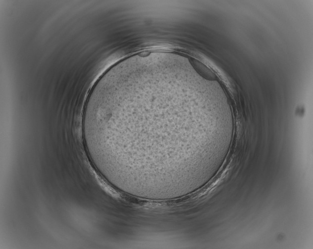 X0000096641194200803041119