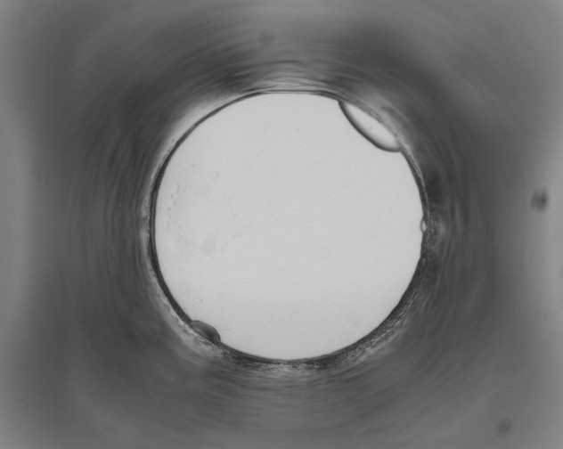 X0000096641195200803041119