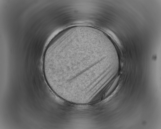 X0000096641196200803041119