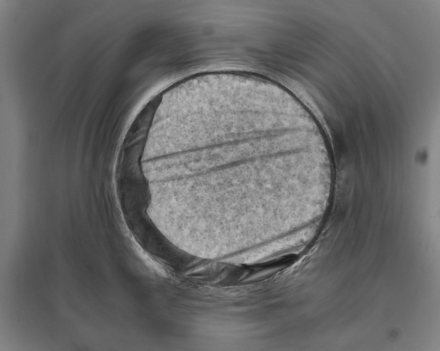 X0000096641197200803041119