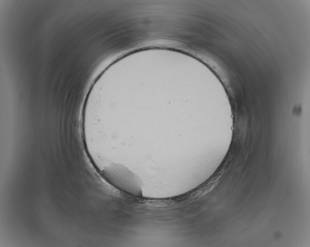 X0000096641199200803041119