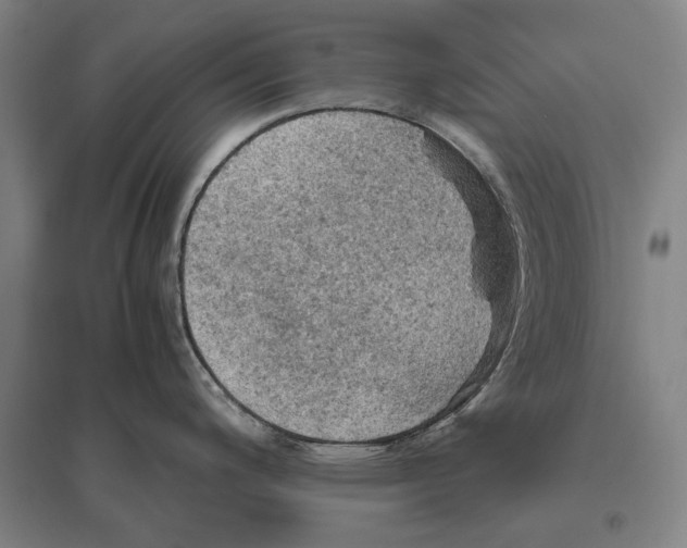 X0000096641200200803041119