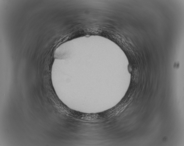 X0000096641201200803041118