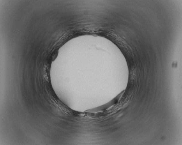 X0000096641202200803041118