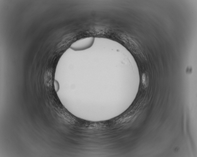 X0000096641203200803041118