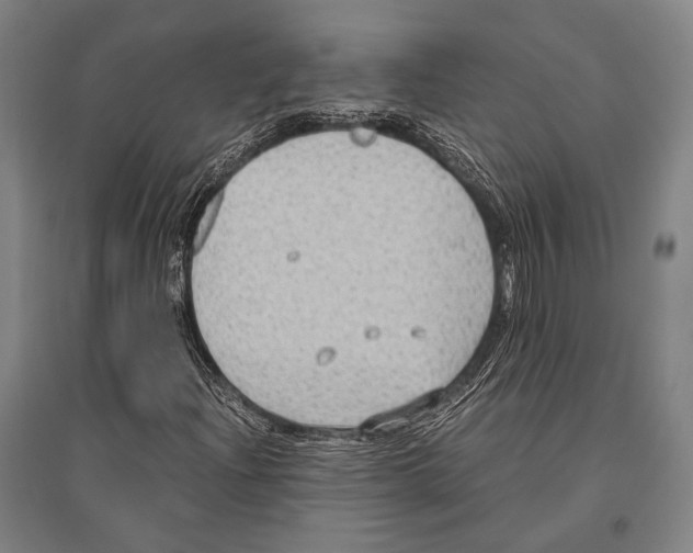 X0000096641204200803041118