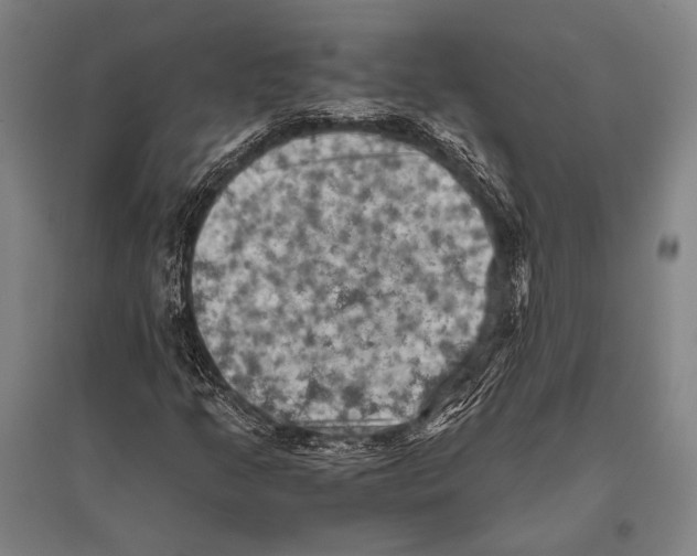 X0000096641205200803041119