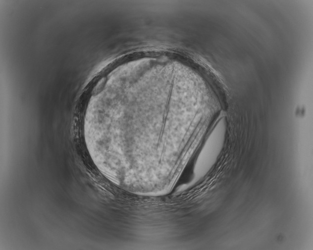 X0000096641208200803041119