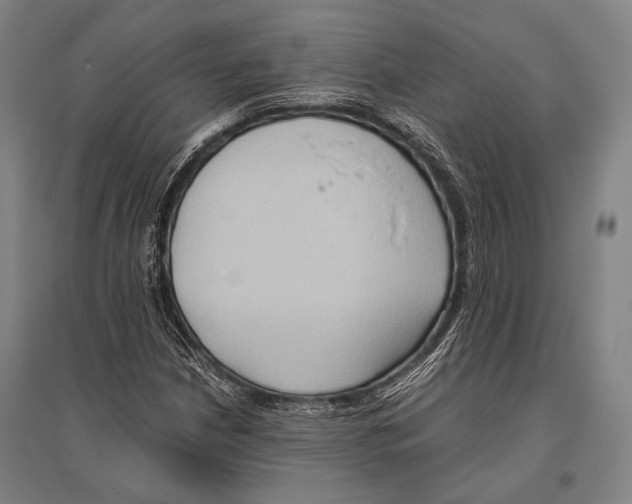 X0000096641210200803041119