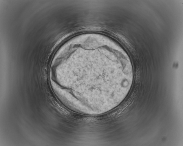 X0000096641212200803041119