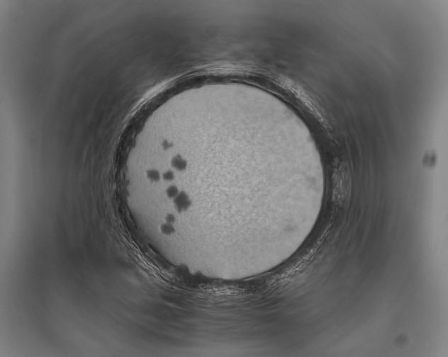 X0000096641213200803041119