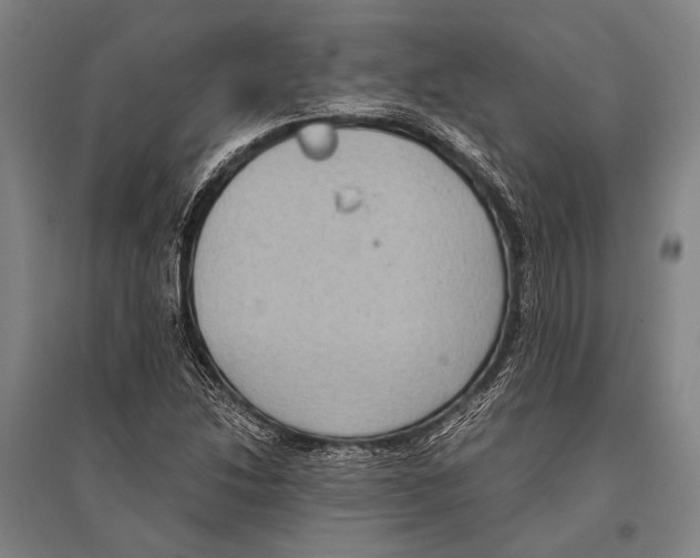 X0000096641214200803041119