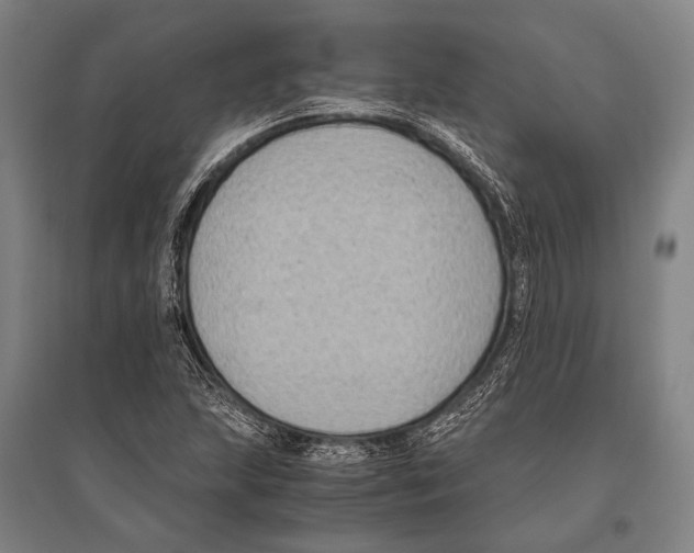 X0000096641215200803041119