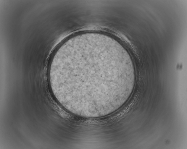 X0000096641216200803041119