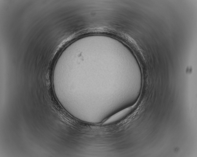 X0000096641218200803041119