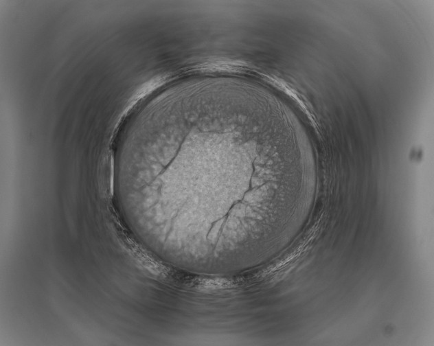 X0000096641219200803041119