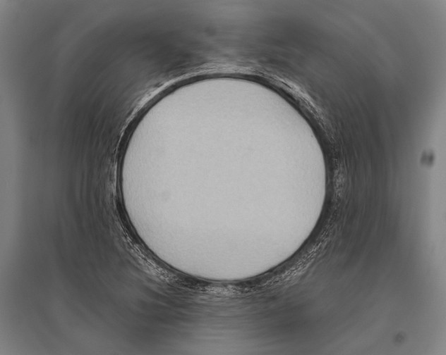 X0000096641220200803041119