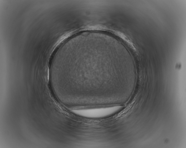 X0000096641221200803041119