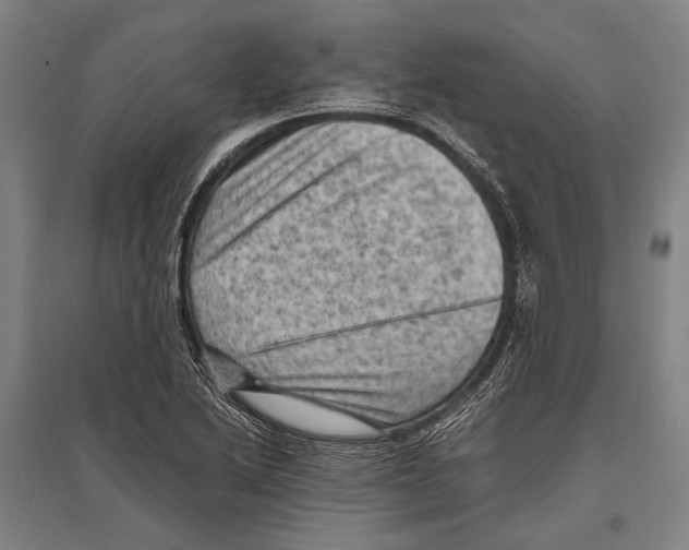 X0000096641222200803041119