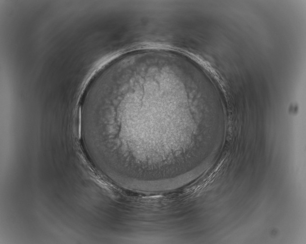 X0000096641223200803041119