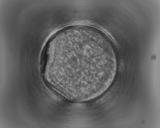 X0000096641224200803041119