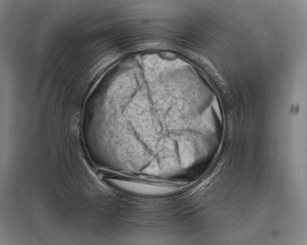 X0000096641225200803041119