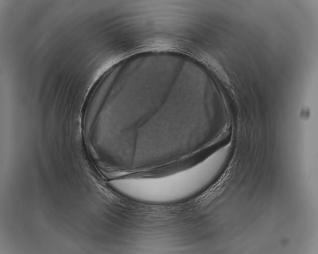 X0000096641226200803041119