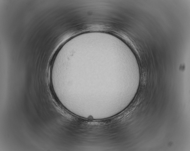 X0000096641227200803041119