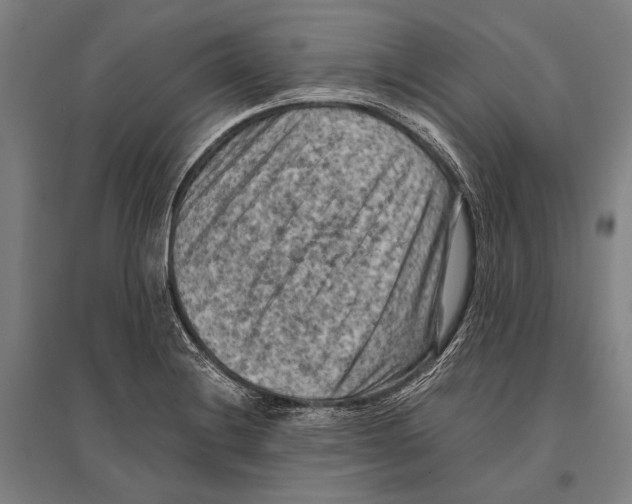 X0000096641228200803041119