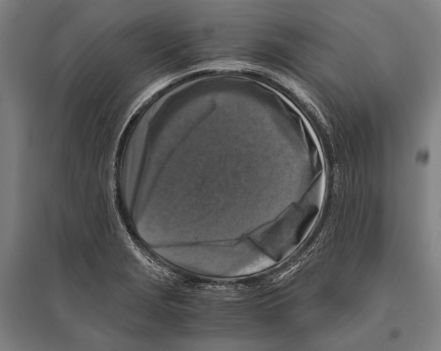 X0000096641229200803041119