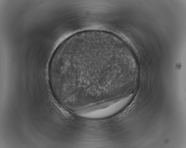 X0000096641230200803041119