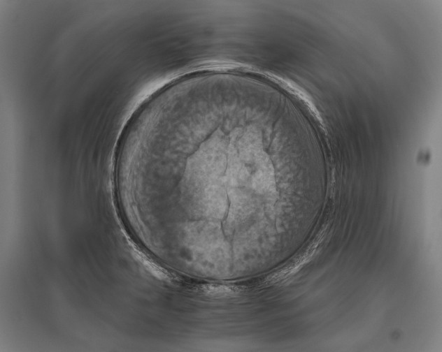 X0000096641231200803041119