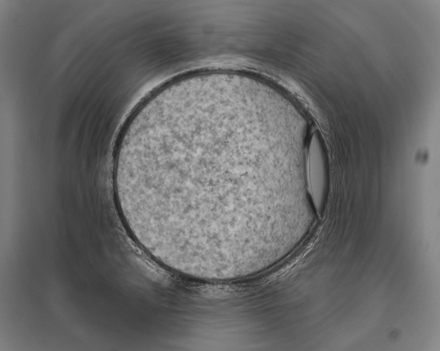 X0000096641232200803041119