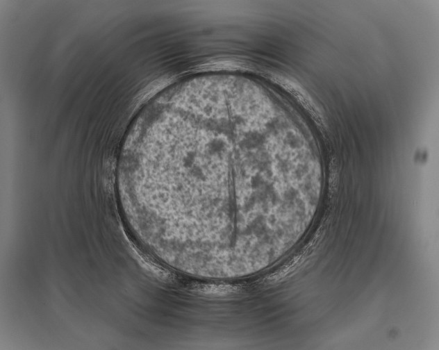 X0000096641233200803041119