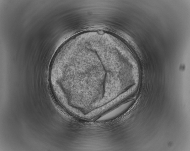 X0000096641234200803041119