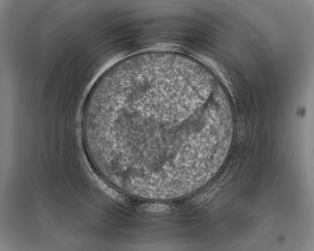 X0000096641235200803041119