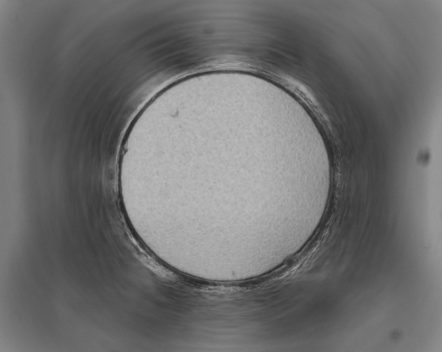 X0000096641236200803041119