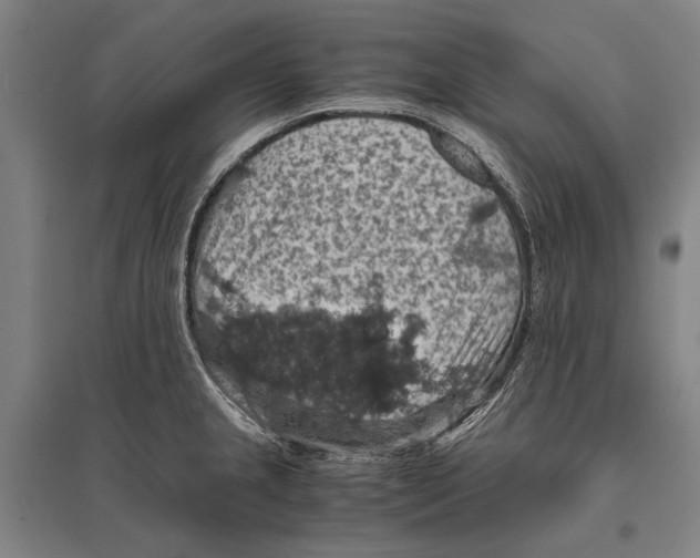 X0000096641237200803041119