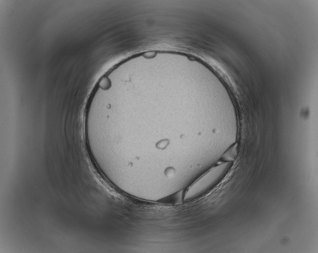 X0000096641238200803041119