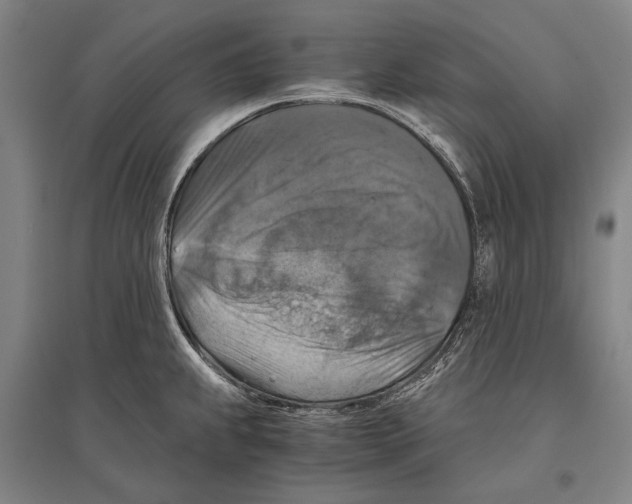 X0000096641239200803041119