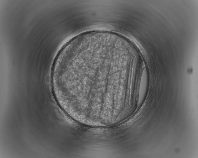 X0000096641240200803041119