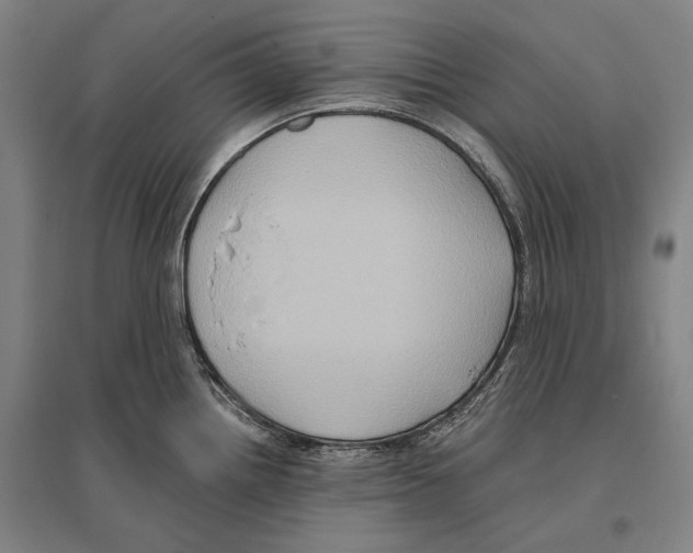 X0000096641242200803041119