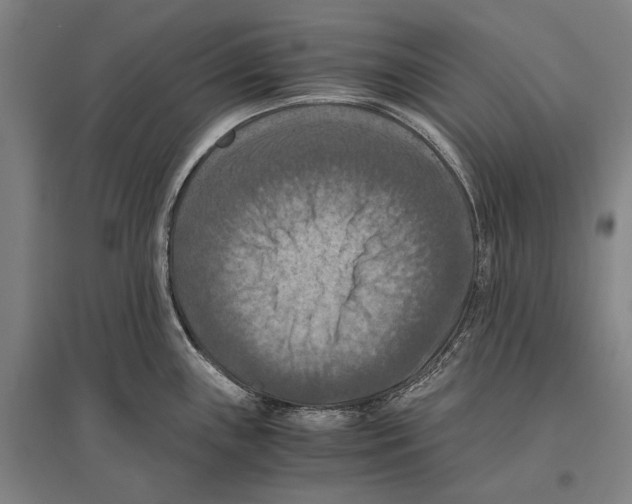 X0000096641243200803041119