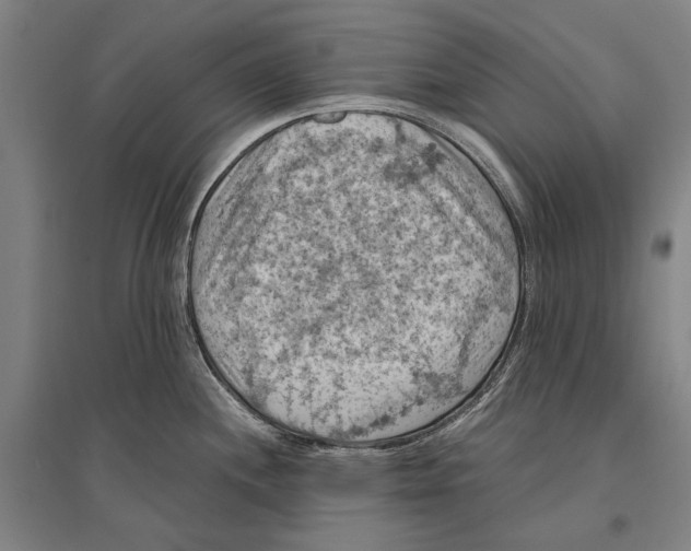 X0000096641244200803041119