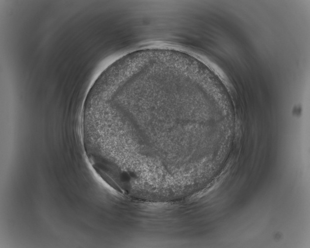 X0000096641247200803041119