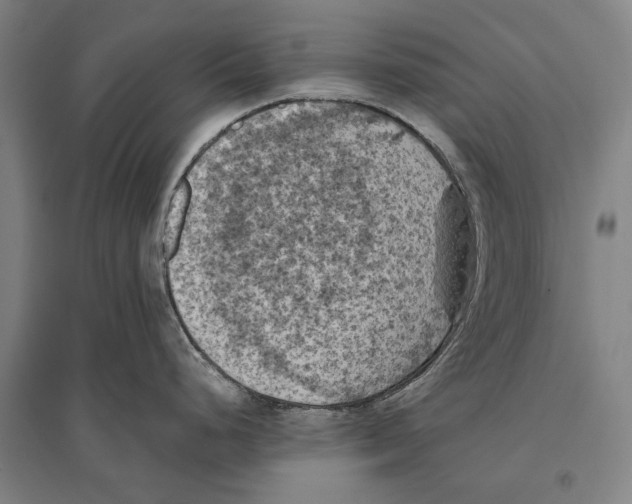 X0000096641248200803041119