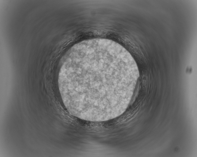 X0000096641249200803041118