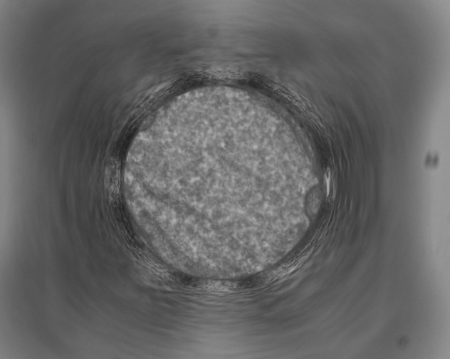 X0000096641251200803041118