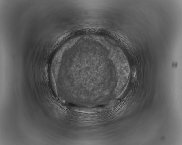 X0000096641252200803041118